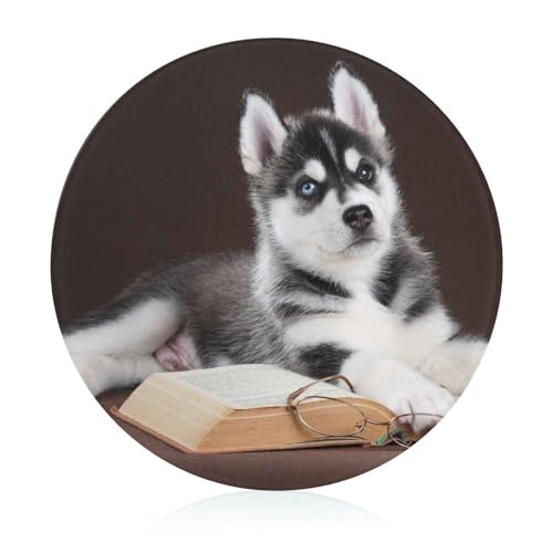 Husky Schneidbrett Rutschfest Glasbrett Glasschneidebrett Für Obst Gemüse Fleisch 20 cm von VNJVPWLQW