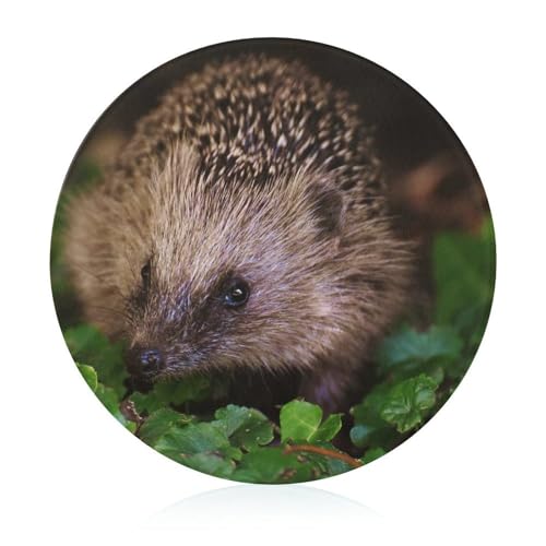 Igel Runde Schneidebrett Rutschfest Küchenbrett Zum Servieren Und Schneiden 20 cm von VNJVPWLQW