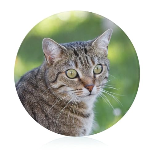 Katze Runde Schneidebrett Rutschfest Küchenbrett Zum Servieren Und Schneiden 20 cm von VNJVPWLQW