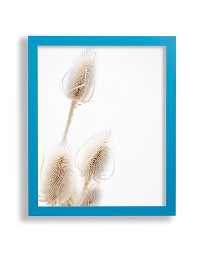 VO design Finn Premium Bilderrahmen Posterrahmen 49x69 cm Hellblau 69x49 cm mit Rückwand und Antireflex Acrylglas VO design Finn Premium Bilderrahmen Posterrahmen 49x69 cm Hellblau 69x49 cm mit Rückwand und Antireflex Acrylglas von VO design