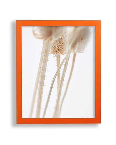 VO design Finn Premium Bilderrahmen Posterrahmen 50x70 cm Orange 70x50 cm mit Rückwand und Antireflex Acrylglas VO design Finn Premium Bilderrahmen Posterrahmen 50x70 cm Orange 70x50 cm mit Rückwand und Antireflex Acrylglas von VO design