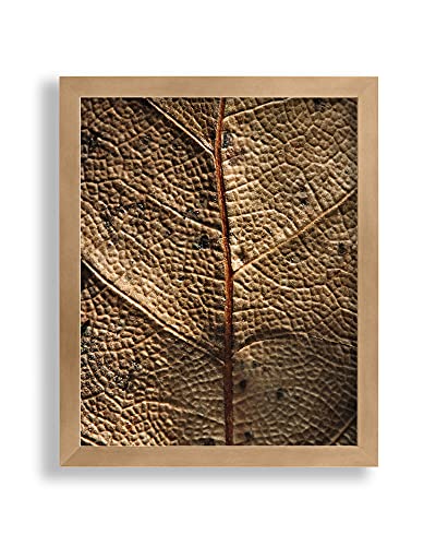 VO design Premium Bilderrahmen Finn 23 x 33 cm Bronze Optik mit klarem Kunstglas - Farbe und Größe frei wählbar von VO design