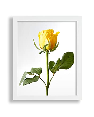VO design Premium Bilderrahmen Finn 45 x 60 cm Weiss Matt mit entspiegeltem Kunstglas - Farbe und Größe frei wählbar von VO design