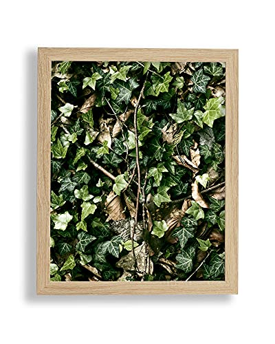 VO design Premium Bilderrahmen Finn 55 x 80 cm Sonoma Eiche Optik mit klarem Kunstglas - Farbe und Größe frei wählbar VO design Premium Bilderrahmen Finn 55 x 80 cm Sonoma Eiche Optik mit klarem Kunstglas - Farbe und Größe frei wählbar von VO design