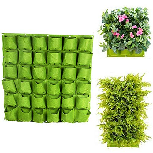 VOANZO Green Garden Vertikaler Pflanzer Multi Pocket Wandhalterung Living Growing Bag Filz Kräutertopf im Innen- und Außenbereich - 36 Taschen (100 x 100 H) von VOANZO