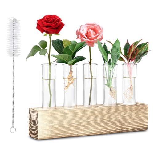 Reagenzglas Vase mit 6 Rohr - Reagenzgläser für Blumen mit Holzständer und Reagenzglasbürste, Reagenzgläser mit Ständer, Ableger Pflanzen Glas, für Hydrokulturpflanzen für Wohnzimmer, Esstisch, Büro von VOHESEA
