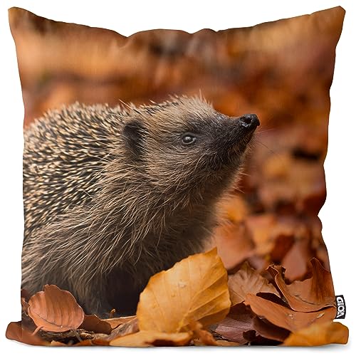 VOID Igel Herbst Laub Blätter Kissenbezug Kissenhülle Polyester Dekoration Ostern Deko-Kissen Outdoor Garten, Kissen Größe:40 x 40 cm von VOID