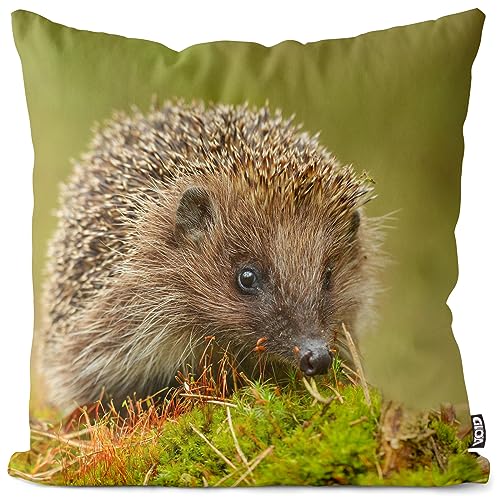 VOID Igel Moos Wald Tier Kissenbezug Kissenhülle Polyester Dekoration Ostern Deko-Kissen Outdoor Garten, Kissen Größe:50 x 50 cm von VOID