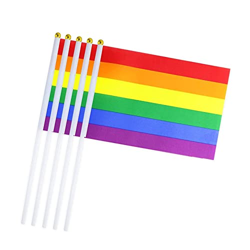 Mini Pride Flaggen, handgehaltene LGBT Regenbogen Gay Flags 21 x 14 cm für Paraden, Karneval, Festival Feiern und Party Dekor (10 Stück) von VORAE