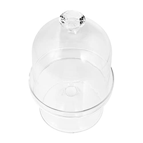 VOSAREA 1 Satz Kreative Tortenplatte mit Glasdeckel Servierplatte aus Bleiglas für Kuchen Desserts und Snacks Perfektes Backzubehör für Ihre Küche und Partys VOSAREA 1 Satz Kreative Tortenplatte mit Glasdeckel Servierplatte aus Bleiglas für Kuchen Desserts und Snacks Perfektes Backzubehör für Ihre Küche und Partys von VOSAREA