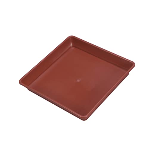 VOSAREA 10 Stück -Chassis Blumenpot -Untertassen Pflanzenschale drinnen Anlage Garten wachsend zimmerpflanzen Pflanzetaucer Tablett Topfablettung Wasserfänger für Topfpflanzen rot VOSAREA 10 Stück -Chassis Blumenpot -Untertassen Pflanzenschale drinnen Anlage Garten wachsend zimmerpflanzen Pflanzetaucer Tablett Topfablettung Wasserfänger für Topfpflanzen rot von VOSAREA