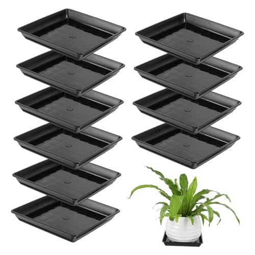 VOSAREA 10 Stück -Chassis draußen Pflanzen Gartenschalen Pot versuchen Untertasse Topfschale Pflanzschale Topfablettung Tropfschalen für Blumentöpfe Square Plant Schwarz VOSAREA 10 Stück -Chassis draußen Pflanzen Gartenschalen Pot versuchen Untertasse Topfschale Pflanzschale Topfablettung Tropfschalen für Blumentöpfe Square Plant Schwarz von VOSAREA