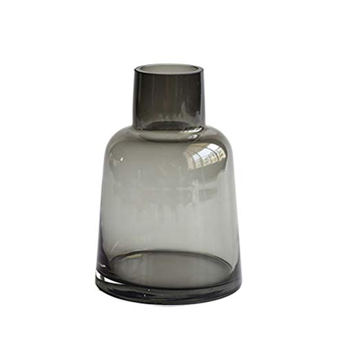 VOSAREA Glas Blumen Vase Schreibtisch Glas Blumentopf für Zuhause Büro (Grau) von VOSAREA