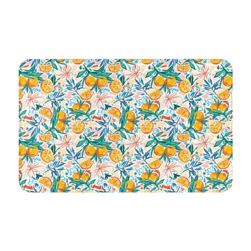 VOSERY Badezimmerteppich, weich, saugfähig, rutschfest, maschinenwaschbar, 76,2 x 50,8 cm, buntes Obst von VOSERY