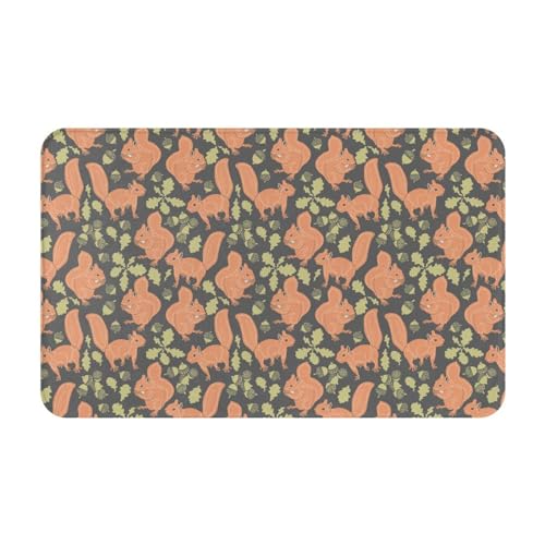 VOSERY Illustration Cartoon-Eichhörnchen-Badezimmerteppich, 76,2 x 50,8 cm, weich, saugfähig, rutschfest, maschinenwaschbar, Badematte, Duschvorleger für Badezimmer VOSERY Illustration Cartoon-Eichhörnchen-Badezimmerteppich, 76,2 x 50,8 cm, weich, saugfähig, rutschfest, maschinenwaschbar, Badematte, Duschvorleger für Badezimmer von VOSERY