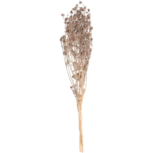 VOSTEEN 1x Distel-Trockenblumenstrauß 100g gold - Sommer Deko Aesthetic hochwertig verarbeitet & natürliche Optik - Brautstrauß Trockenblumen von VOSTEEN