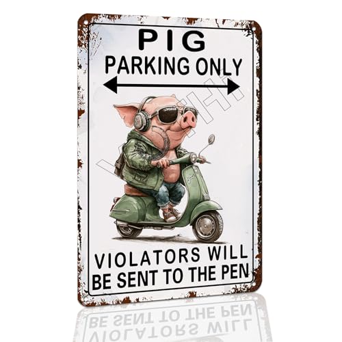 VOTHI Lustiges Venicor-Blechschild, Aluminium, rustikale Bauernhaus-Dekoration, Retro-Stil, Wanddekoration, 30,5 x 20,3 cm von VOTHI