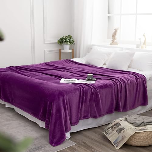 VOTOWN HOME Kuscheldecke Flauschige Decke Violett 220x240 cm, Warme Weiche Wohndecke für Bett Couch, Winter Sofadecke als Mikrofaser Bettüberwurf Tagesdecke von VOTOWN HOME