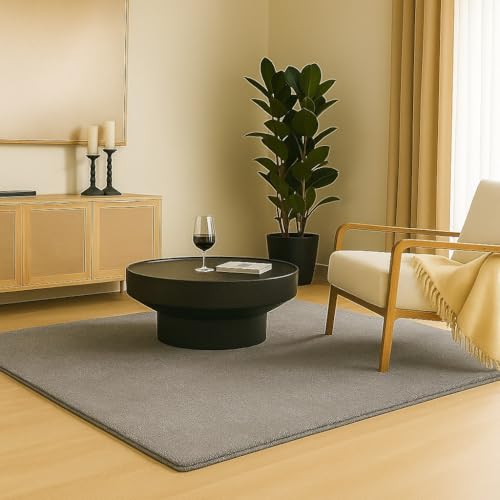 VOUNOT® Teppich Wohnzimmer 120x160 cm, mit rutschfeste Rückseite & Antirutschmatte, Kuscheliger Kurzflor Flauschig Teppiche Gegend für Schlafzimmer Kinderzimmer Esszimmer, Grau von VOUNOT