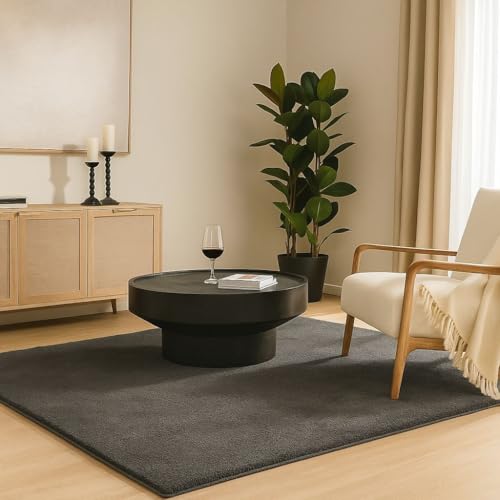 VOUNOT® Teppich Wohnzimmer Groß 200x300 cm, mit rutschfeste Rückseite & Antirutschmatte, Kuscheliger Kurzflor Flauschig Teppiche Gegend für Schlafzimmer Kinderzimmer Esszimmer, Anthracite von VOUNOT