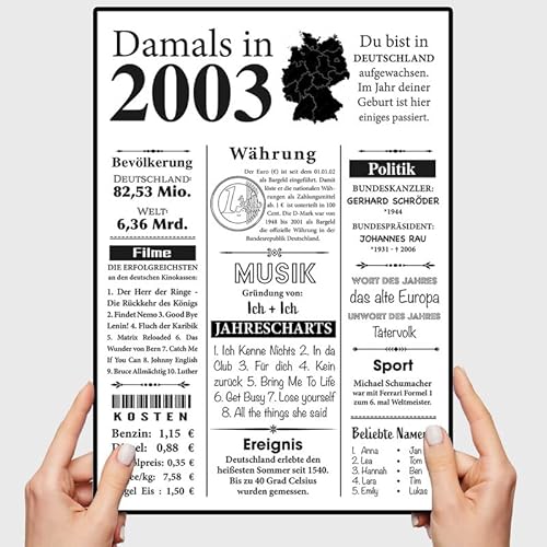 VP-DSGN Geburtstag 20 Jahre - 2003 - Bild Plakat Zeitungsartikel Fakten zum Jahrgang - Deko Geschenkideen zum Geburtstag, Mann Frau - damals in - Poster von VP-DSGN