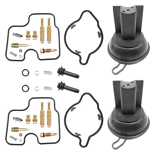 Für CB500 CB500S 1993-2003 Motorrad Vergaser Reparatur Membran Float Carb Rebuild Teile Ersatz Vergaser Reparatur Satz(Color 6) von VPLPEREQAK