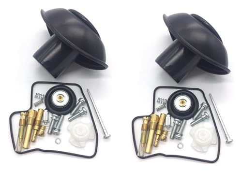 Für STEED 600 Für SHADOW VLX600 VLX 600 VT600 C Motorrad Vergaser Reparatur Membran Ventil Dichtung Wiederaufbau Teile Set Vergaser Reparatur Satz(1) von VPLPEREQAK