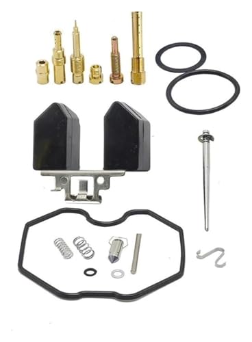 Für TMX 125 CG125 XL125S TRX250 TRX 250EX Für Recon 125cc ATV CRF XR100 PZ26 Motorrad Vergaser Reparatur Teile Vergaser Reparatur Satz(Color 2) von VPLPEREQAK