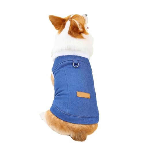 Hundekleidung, Haustier, Winter, Warmer Mantel, Jacke for kleine, mittelgroße Hunde und Katzen(Blue1,3XL) von VRKRTVBLB