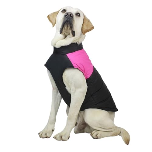 Winter Haustier Mantel Hund Kleidung Warme Regenschutz Insgesamt Traktion Baumwolle Dicke Große Weste(4,M) von VRKRTVBLB