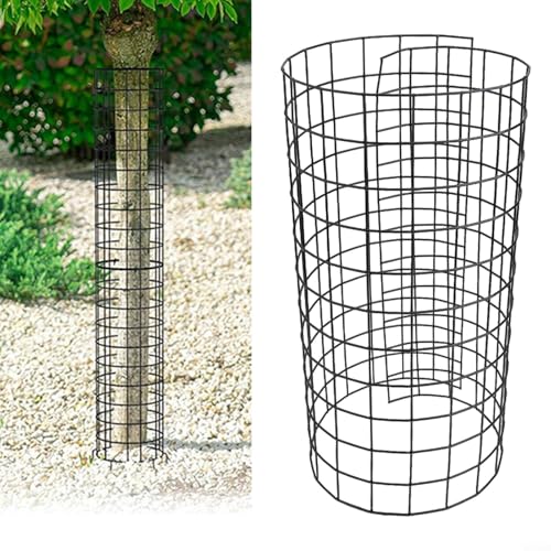 Baumstammschutz mit Metallpfähle für verbesserte Pflanzensicherheit und Wachstum (B) von VRTYVEYBB