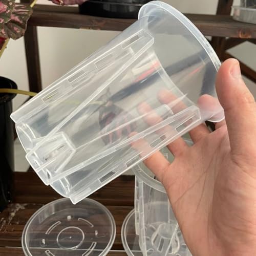 Transparente Kunststoff-Blumentöpfe mit Tabletts, 5 Stück, für Dendrobium und Schlangenpflanzenpflege (14 cm) von VRTYVEYBB