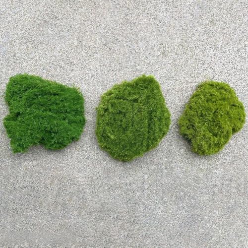 Vereinfachen Sie Ihre Gartenbedürfnisse. Erleben Sie die Schönheit von realistischem Kunstrasen in jeder Ecke (hellgrün, 5 Stück) von VRTYVEYBB