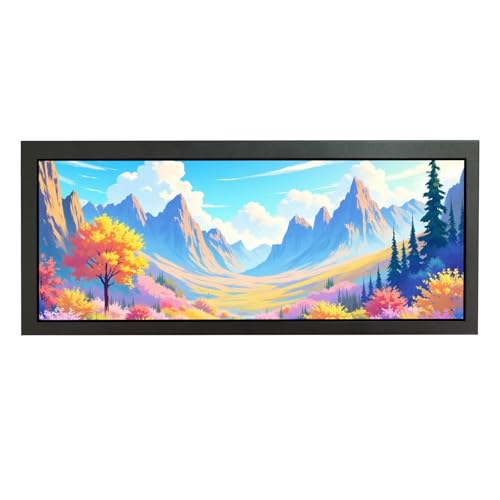 VSDISPLAY 12,3 Zoll 1920x720 850 Nits IPS gestrecktes LCD -Monitor, USB -Kartenanschluss, Support Auto Play, 270 Grad Rotation von VSDISPLAY