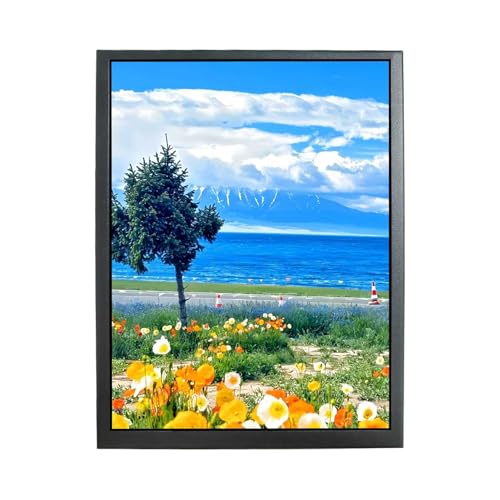 VSDISPLAY Tragbarer 7,9 Zoll 1536 x 2048 460 Nits IPS LCD-Monitor für DIY AIDA64 CPU GPU PC Gehäusemonitor für Sub-Display von VSDISPLAY