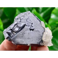 Galena Mit Calcit Aus Bulgarien, Madan, Borieva Mine, Galena, Seltenes Kristall, Mineral, Kristalle Und Mineralien, Proben Galena Mit Calcit Aus Bulgarien, Madan, Borieva Mine, Galena, Seltenes Kristall, Mineral, Kristalle Und Mineralien, Proben von VSMINERALS
