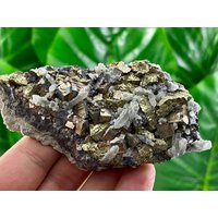 Goldenes Chalcopyrit Mit Pyrit, Quarz Aus Djurkovo Mine, Laki, Bulgarien, Top-Exemplare, Exemplar, Mineralsammlung von VSMINERALS