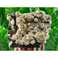 Großer Seltener Calcit Vom 9. September Mine, Madan, Bulgarien, Mineral, Kristall, Exemplar, 100% Natürliches Mineral, Quarz, Wohndekor, Energie von VSMINERALS