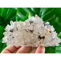 Großer Transparenter Quarz Mit Sphalerit Vom 9. September Mine, Madan, Bulgarien, Quarz Cluster, Home Decor, Sphalerit Auf Matrix, Kollektion Großer Transparenter Quarz Mit Sphalerit Vom 9. September Mine, Madan, Bulgarien, Quarz Cluster, Home Decor, Sphalerit Auf Matrix, Kollektion von VSMINERALS