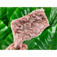 Rhodochrosit Mit Quarz Vom 9. September Mine, Madan, Bulgarien, Mineral Exemplar, 100% Natur, Rhodochrosit Kristall, Rosa Kristall, Home Decor von VSMINERALS