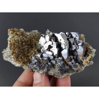 Skelett - Galena Mit Quarz Und Calcit Aus Bulgarien Madan 9.septemvri Mine Natürliche Mineral Specimen Cluster Kristallstein Skelett - Galena Mit Quarz Und Calcit Aus Bulgarien Madan 9.septemvri Mine Natürliche Mineral Specimen Cluster Kristallstein von VSMINERALS