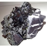 Sphalerit, Bleiglanz, Chalkopyrit, Quarz, Borieva Mine Madan, Rhodope Mts, Smolyan Oblast, Bulgarien, N540 Sphalerit, Bleiglanz, Chalkopyrit, Quarz, Borieva Mine Madan, Rhodope Mts, Smolyan Oblast, Bulgarien, N540 von VSMINERALS