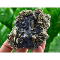 Toller Sphalerit Mit Chalcopyrit Und Galena, Quarz Vom 9. September, Madan, Bulgarien, Exemplar, Cluster, Kollektion, Galena von VSMINERALS