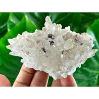 Transparenter Quarz Mit Sphalerit Vom 9. September Mine, Madan, Bulgarien, Quarz Cluster, Home Decor, Sphalerit Auf Matrix, Kollektion Transparenter Quarz Mit Sphalerit Vom 9. September Mine, Madan, Bulgarien, Quarz Cluster, Home Decor, Sphalerit Auf Matrix, Kollektion von VSMINERALS