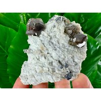 Unglaublicher Edelstein Sphalerit Var Kleiophan Aus Der Mine Vom 9.september Madan Bulgarien, Edelstein, Edelsteine, Mineralstoff, N110 Unglaublicher Edelstein Sphalerit Var Kleiophan Aus Der Mine Vom 9.september Madan Bulgarien, Edelstein, Edelsteine, Mineralstoff, N110 von VSMINERALS