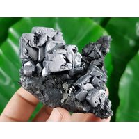 Unglaubliches Skelett Galena Auf Schwarzen Sphalerit Aus Bulgarien, Mit Sphalerit, Kristall Galena, Mineral Specimen Unglaubliches Skelett Galena Auf Schwarzen Sphalerit Aus Bulgarien, Mit Sphalerit, Kristall Galena, Mineral Specimen von VSMINERALS