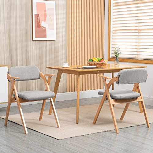 VSOGA Faltbare Esszimmerstühle mit Armlehne und Polsterung, 2er-Set, stapelbar, für Gäste/Küche/Party, Grau von VSOGA