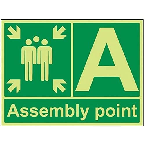 vsafety 17006bf-g Fire Assembly Point Schild, ASSEMBLY Point mit Buchstabe, Kunststoff, Landschaft, 400 mm x 300 mm, grün von VSafety