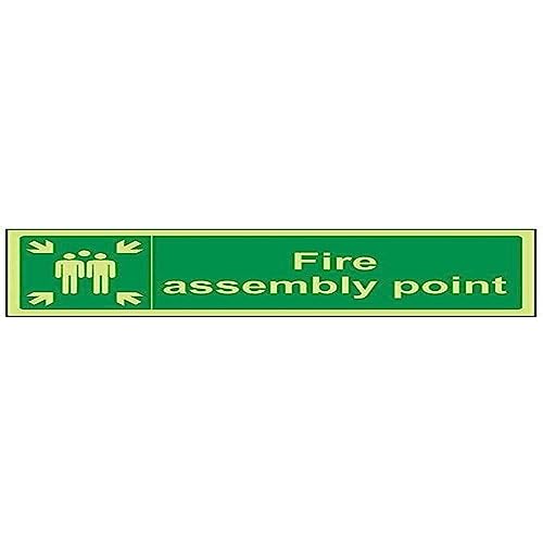 vsafety 17025 ax-g "FIRE Assembly Point" Sign, Glow In Dark, 1 mm Kunststoff, Landschaft, 300 mm x 100 mm, grün von VSafety