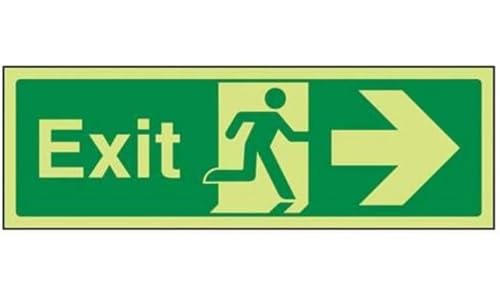 VSafety 21004BJ-G'Arrow Right Safe Condition Exit' Schild, leuchtet im Dunkeln, 1 mm Kunststoff, Querformat, 450 mm x 150 mm, grün von V Safety